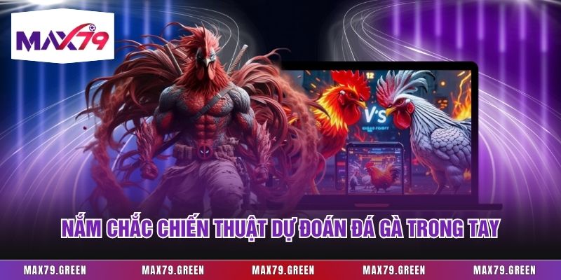 Nắm chắc chiến thuật dự đoán đá gà trong tay